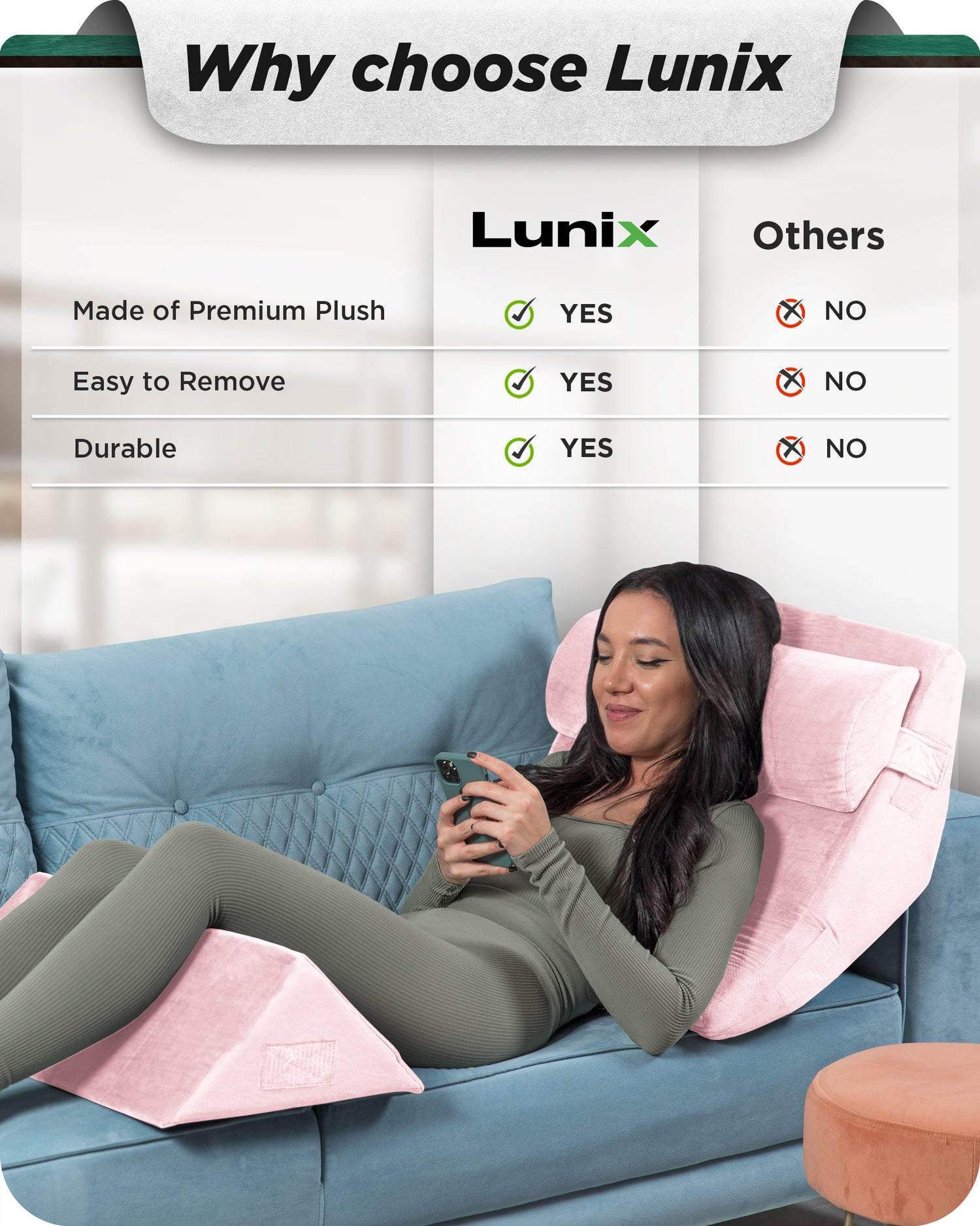 Cover Set Only for LX6, Pink Plush, Pillows and Foam not Included