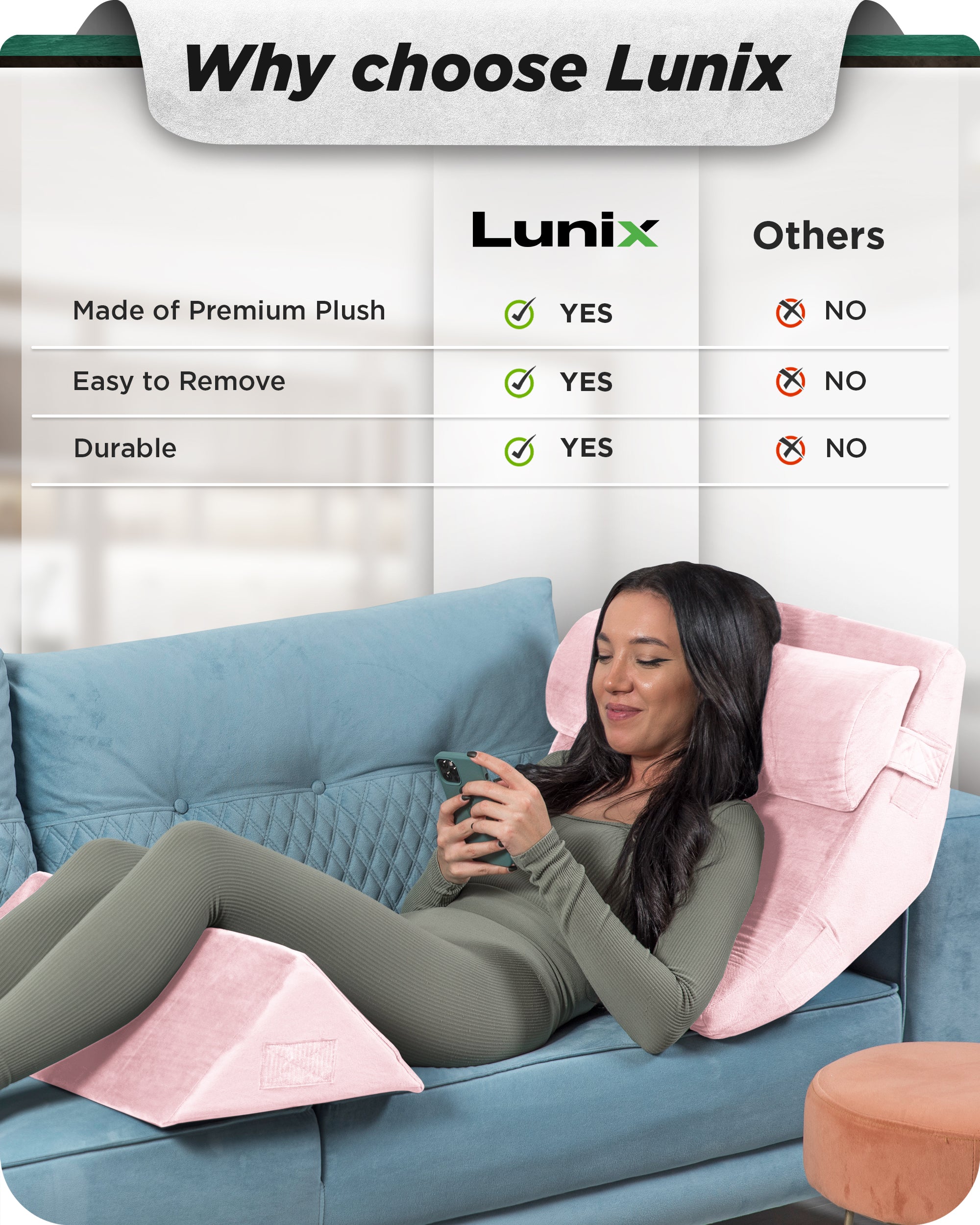 Cover Set Only for LX6, Pink Plush, Pillows and Foam not Included