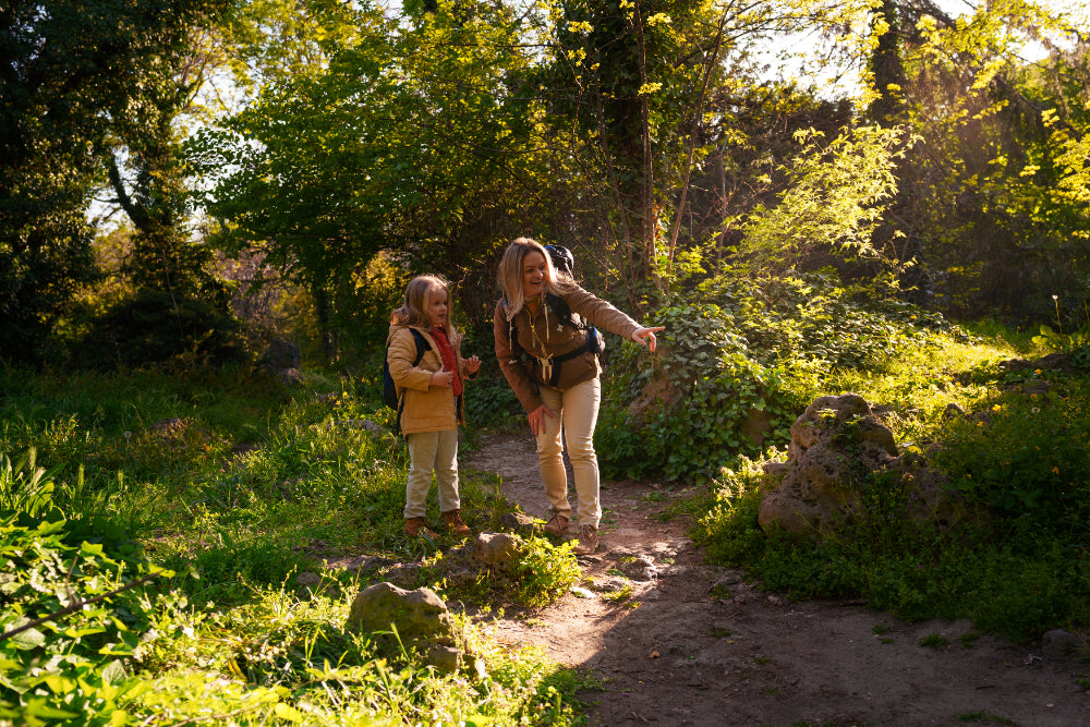 Soothe Your Soul: Nature Walks as Therapy