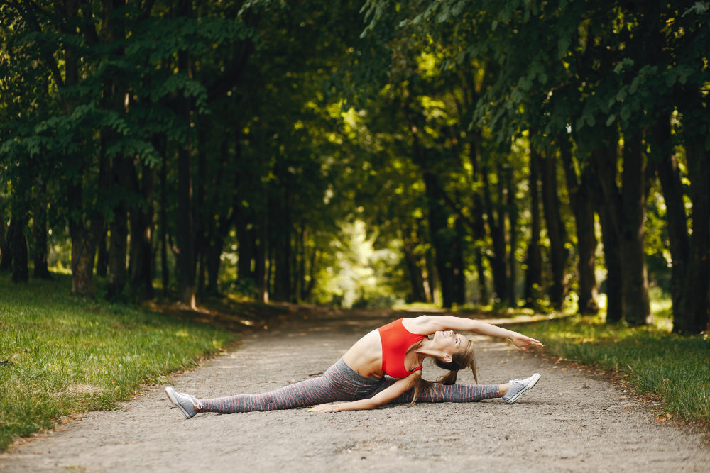 The Science of Stretching: How Daily Stretches Can Transform Your Life