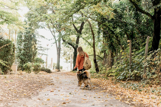 Nature Walks for Mental Clarity and Outdoor Fitness
